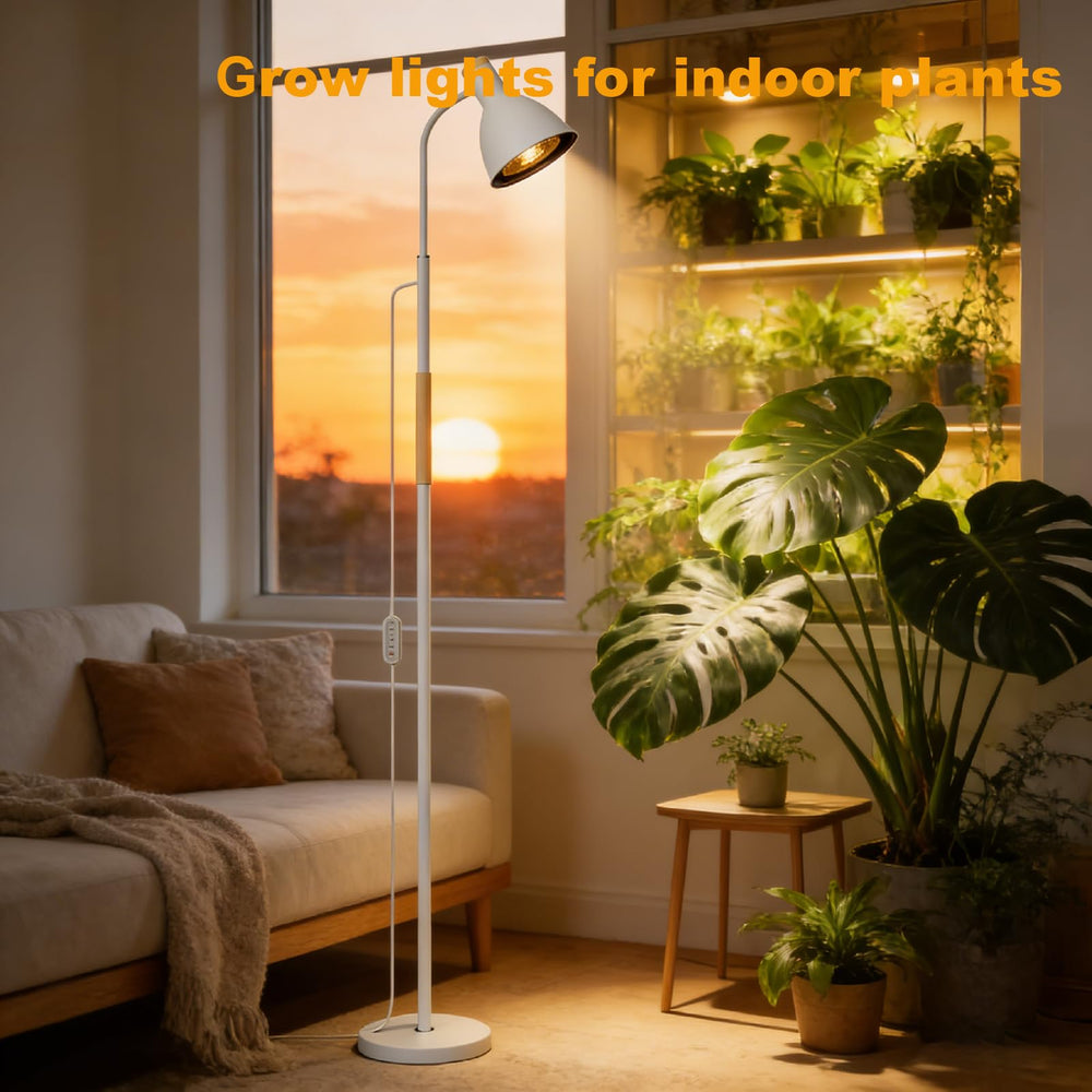 RDJ Bouns in-use living room scene illuminating a fiddle leaf fig to enhance growth