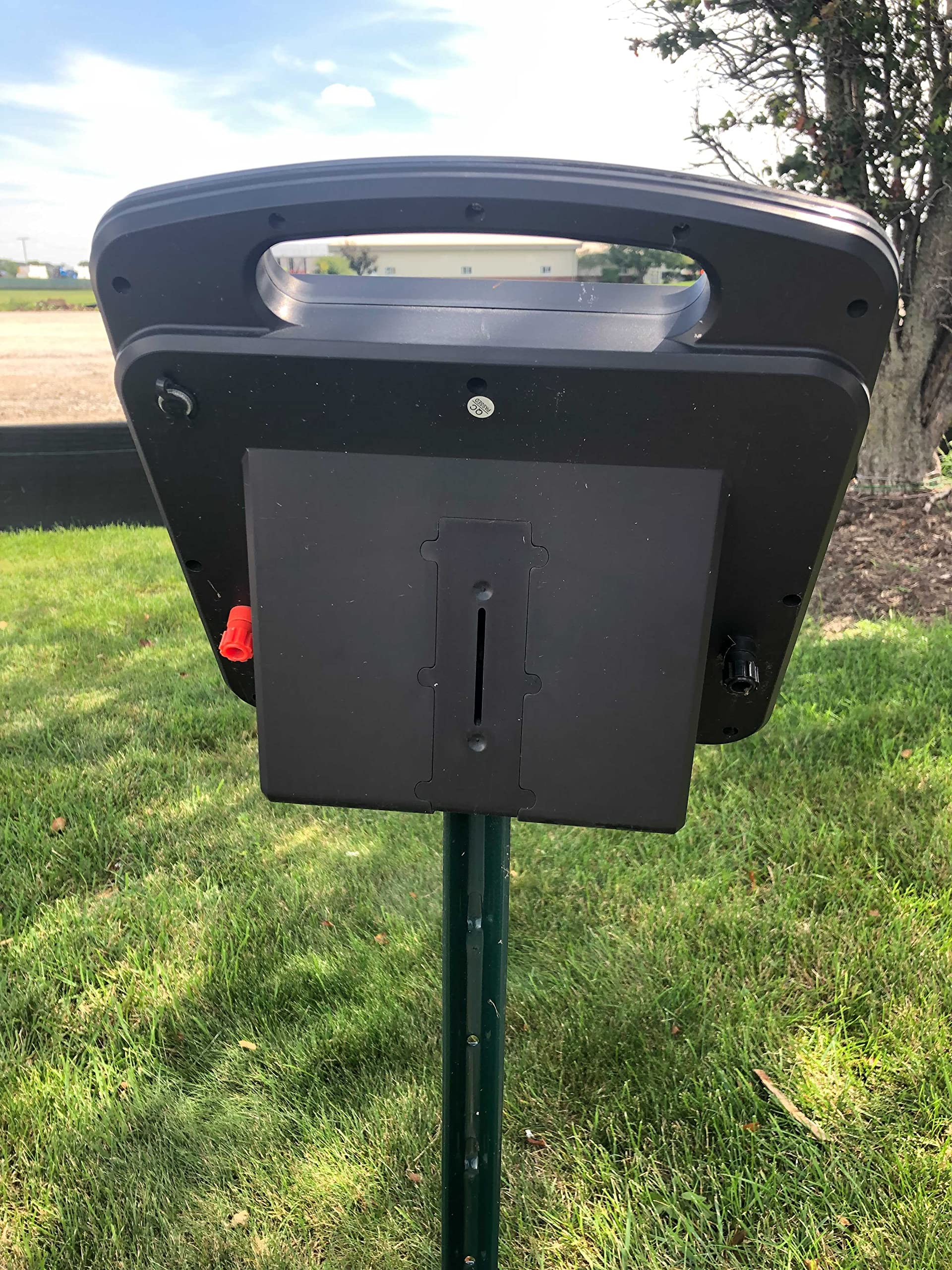 Red Sizzle in a small pasture lifestyle scene protecting livestock and deterring predators