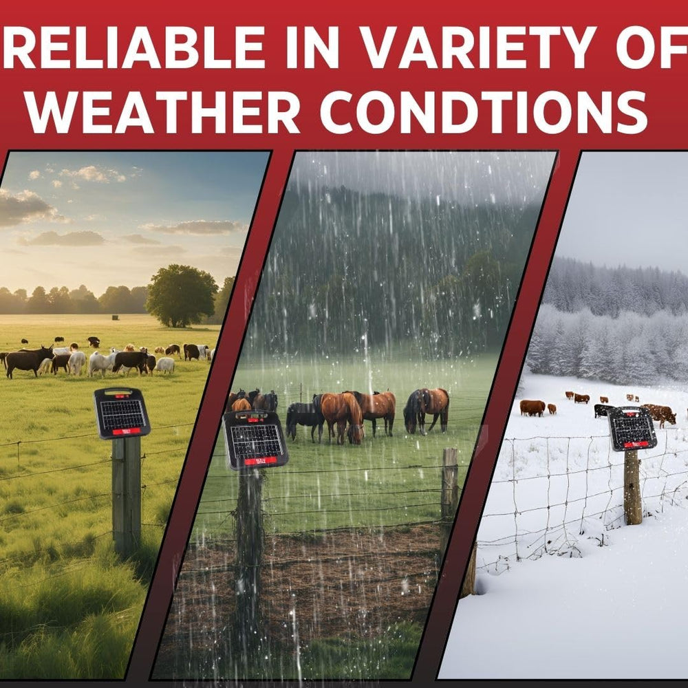 Red Sizzle weatherproof housing texture showing corrosion resistance and durability