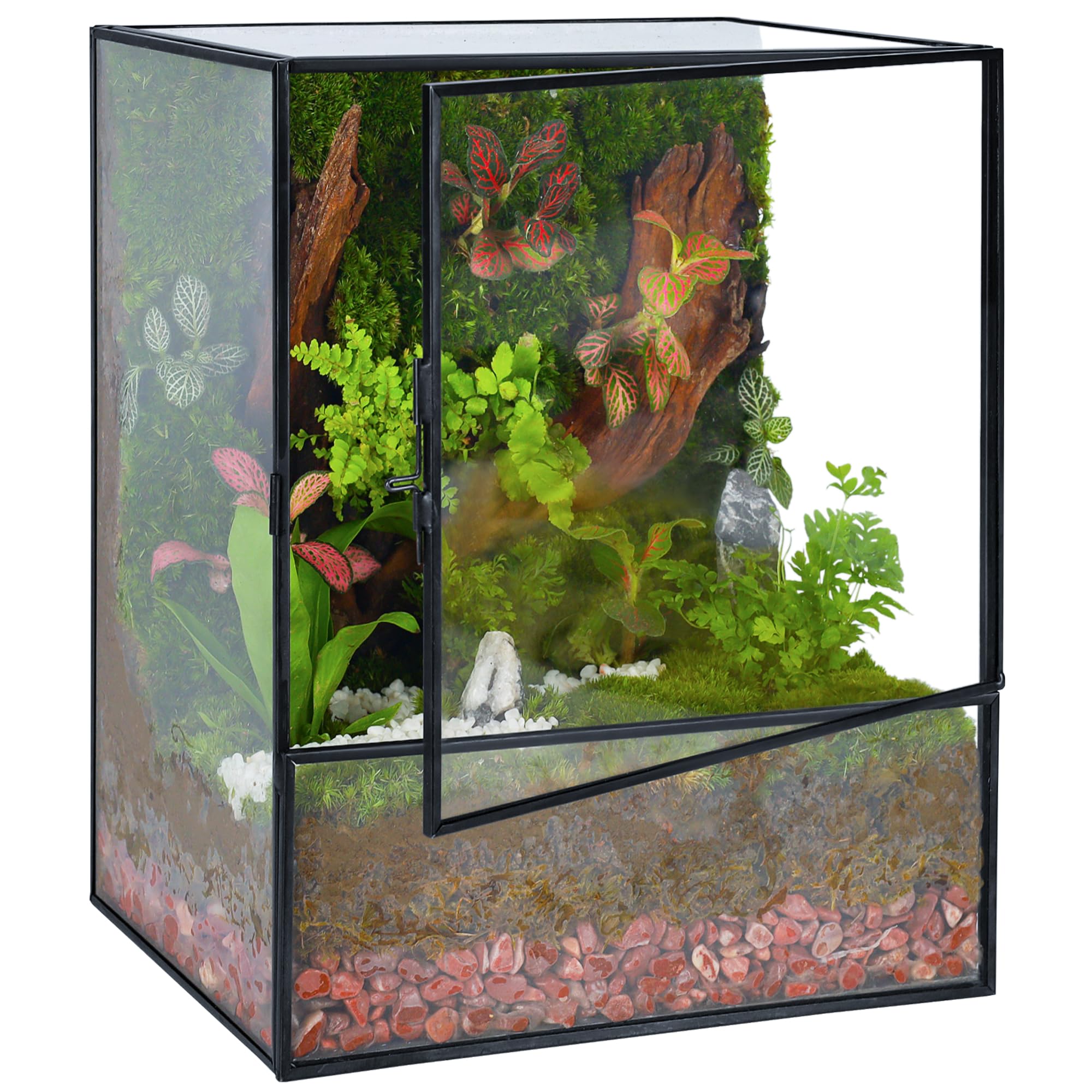 REDHUGO front view terrarium showing sleek black frame and clear glass benefit: stylish display