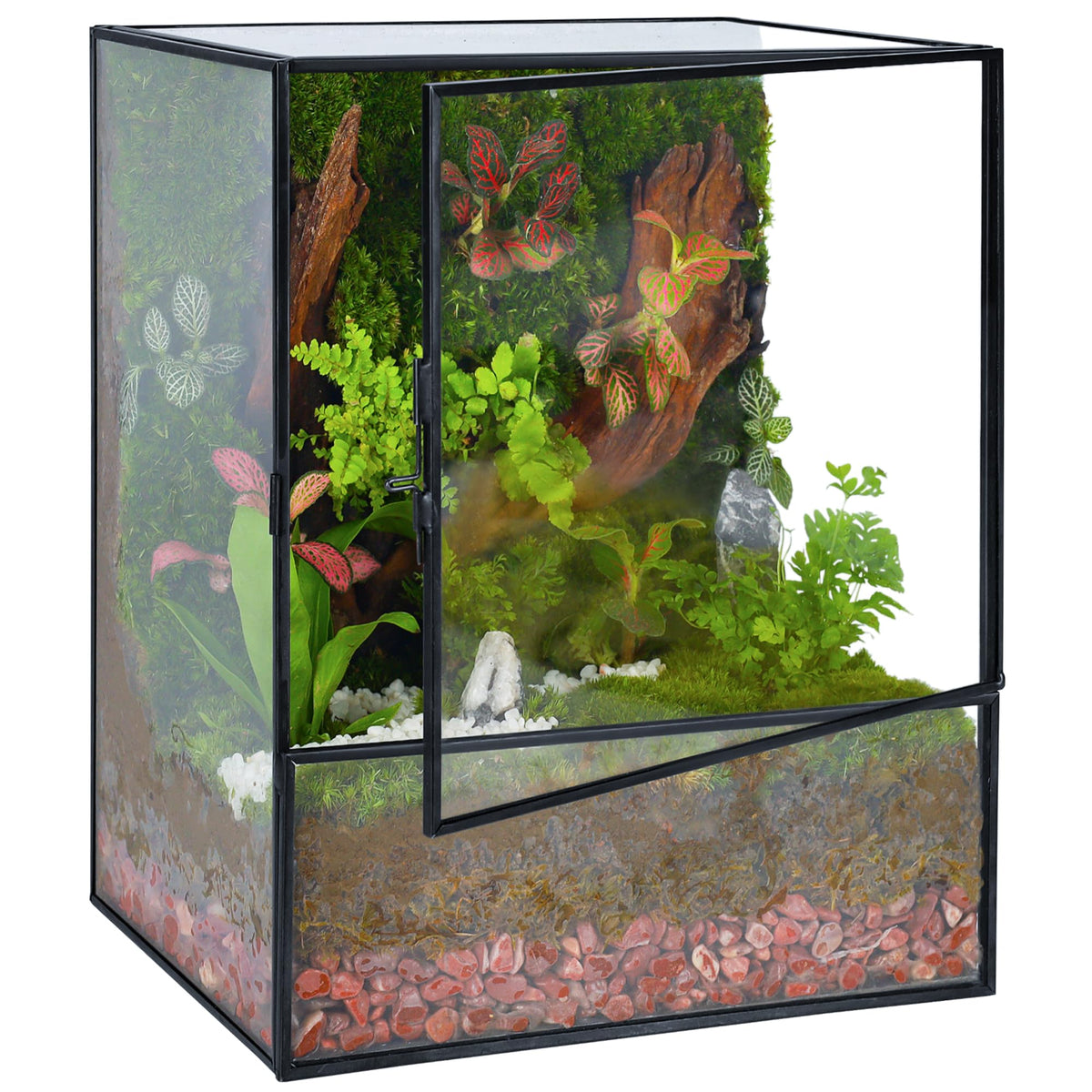 REDHUGO front view terrarium showing sleek black frame and clear glass benefit: stylish display
