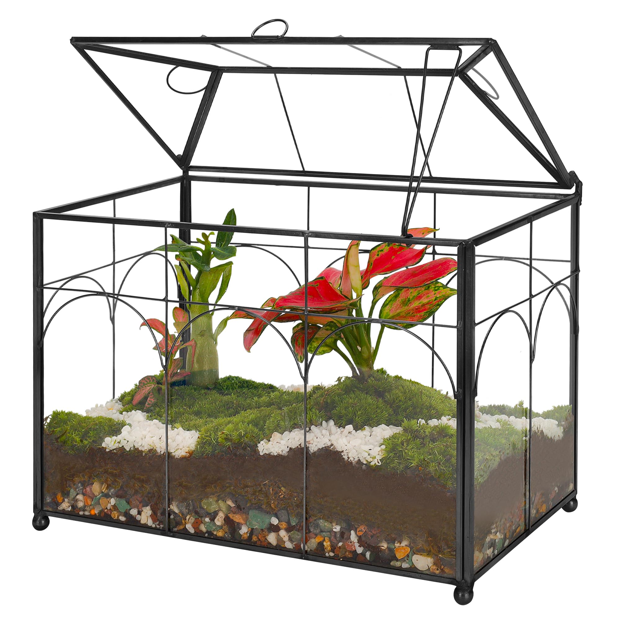 REDHUGO front view terrarium showing geometric shape and display benefit