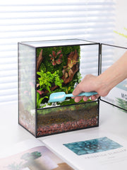 REDHUGO interior with succulents showing arrangement potential benefit: beautiful mini garden
