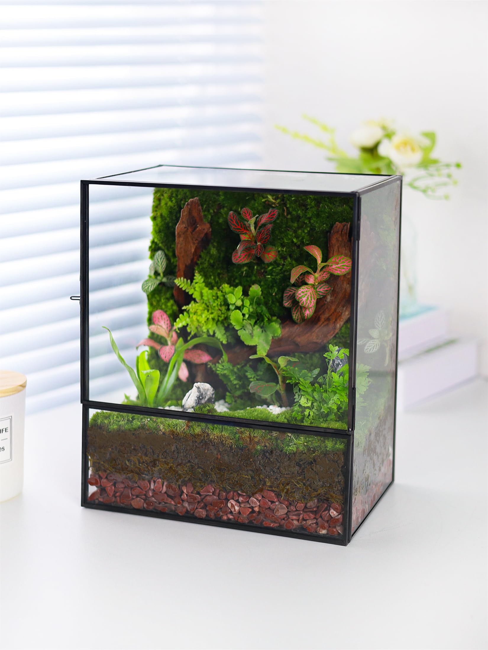 REDHUGO terrarium on shelf in room showing decor benefit: elevates interior style