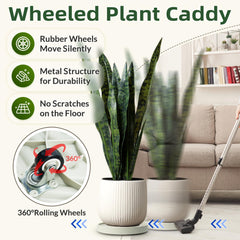 REDHUGO plant on caddy in living room shows easy relocation advantage