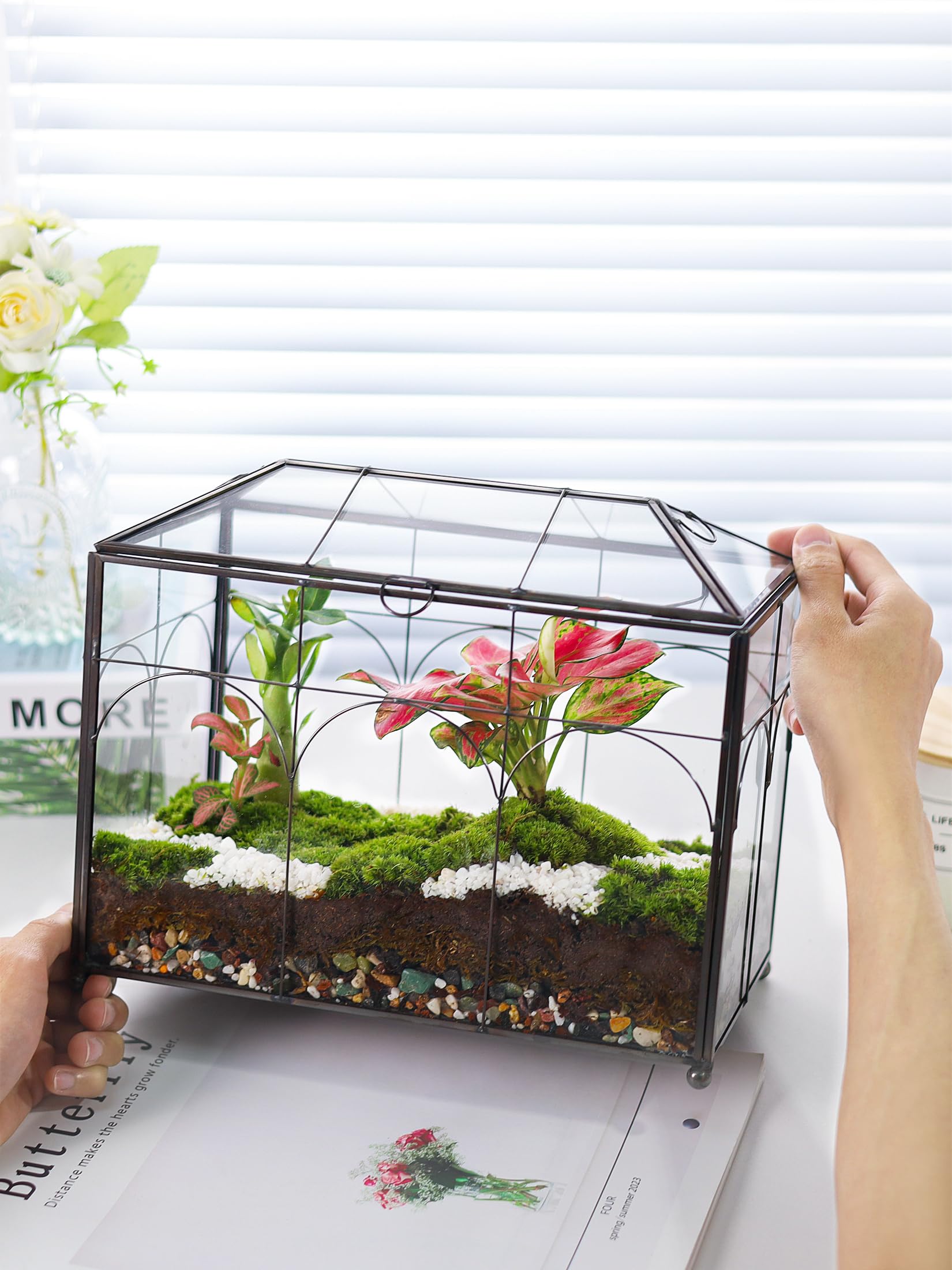 REDHUGO side angle with succulents demonstrating decorative plant display