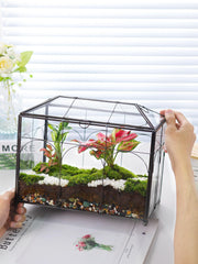 REDHUGO side angle with succulents demonstrating decorative plant display