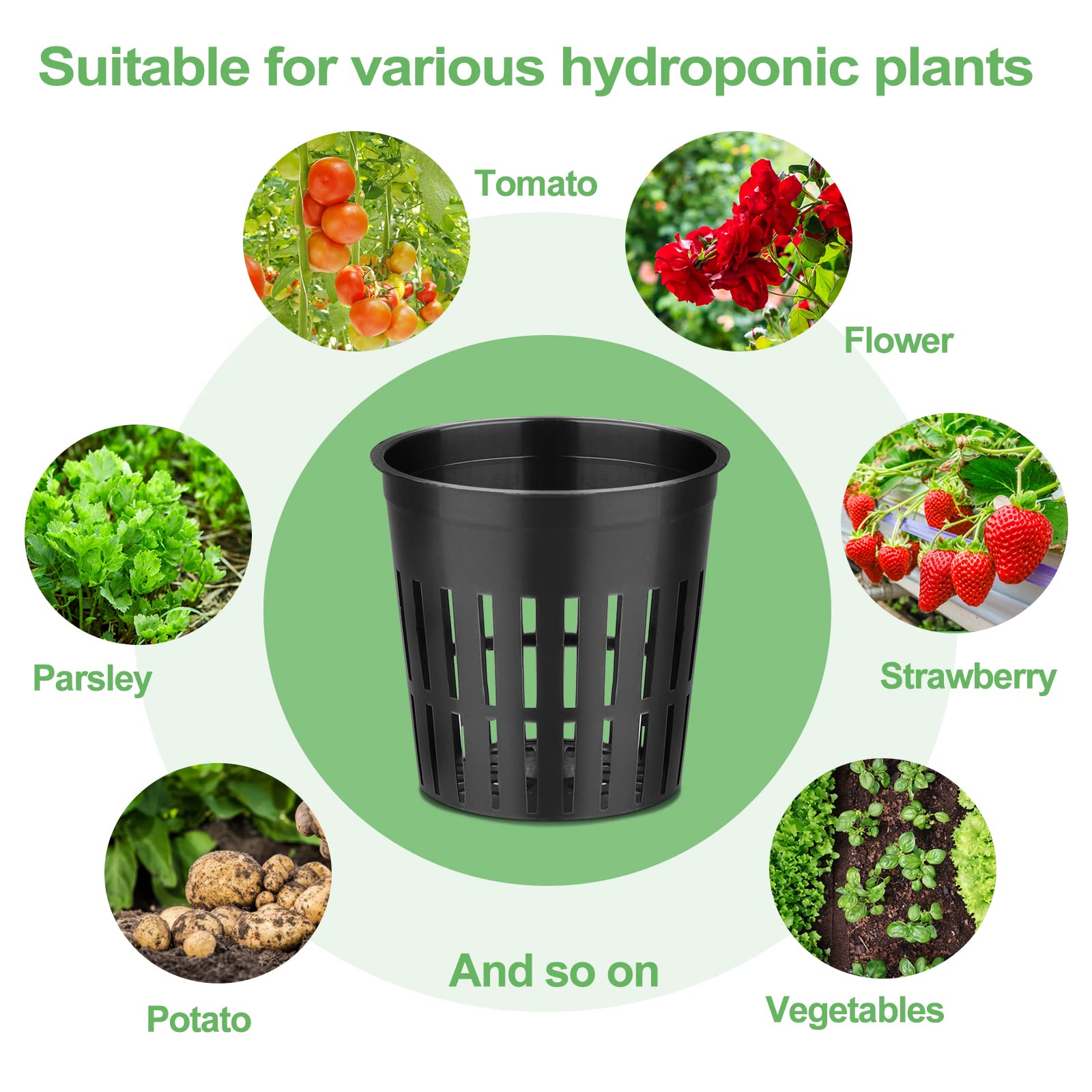 Reeooue net pot seated in hydroponic lid demonstrating easy installation benefit