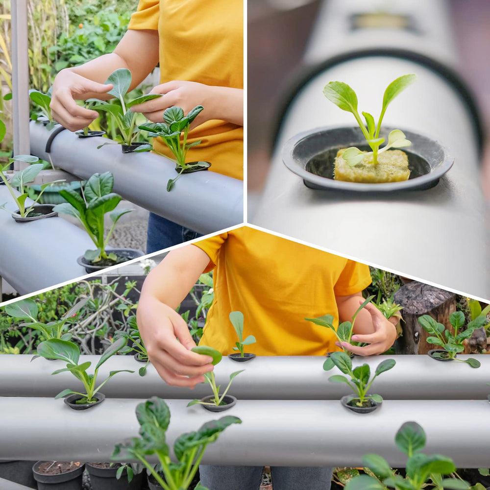 Reeooue net pot next to ruler showing 2-inch size for correct fit benefit