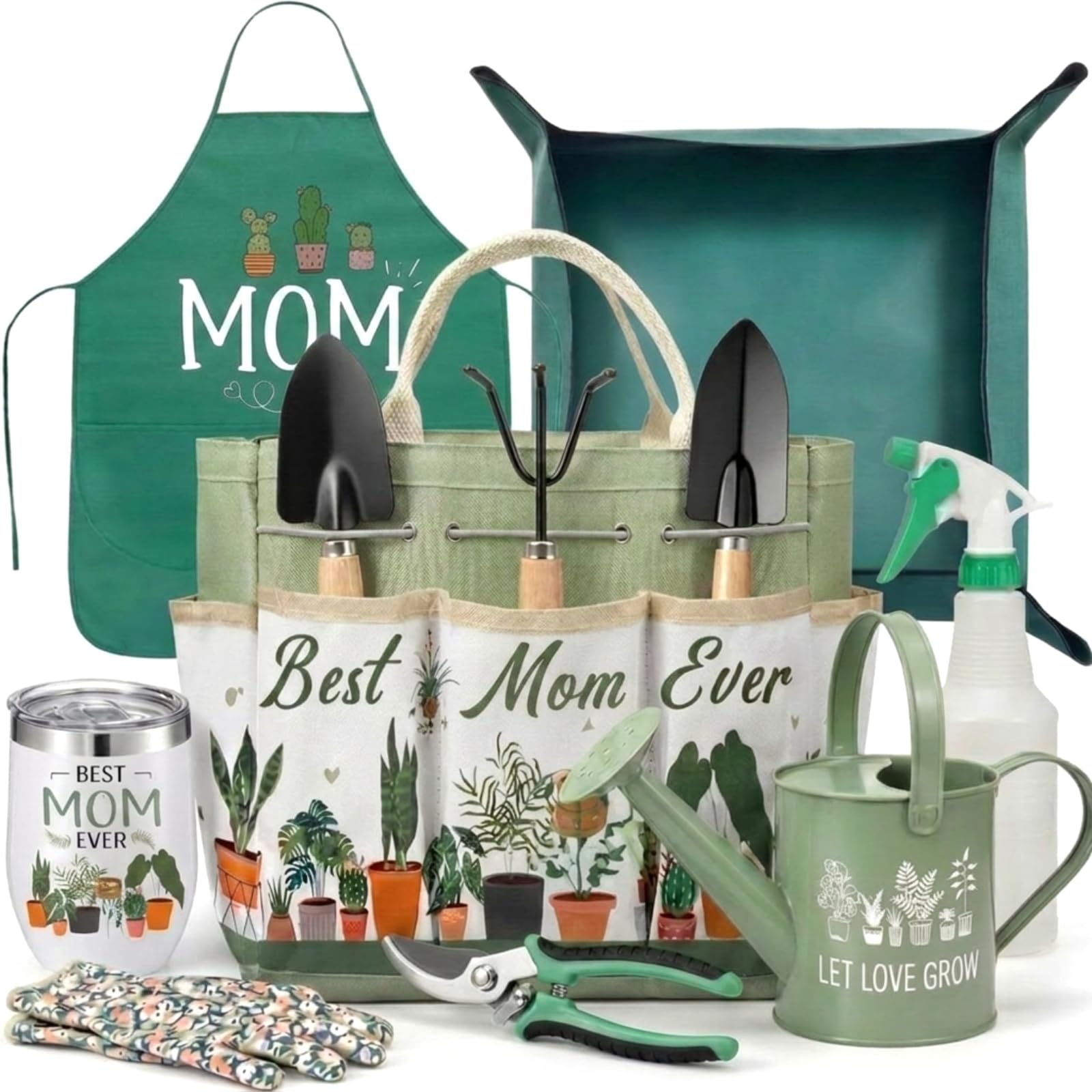Reginary tote and full tool set displayed neatly for easy access