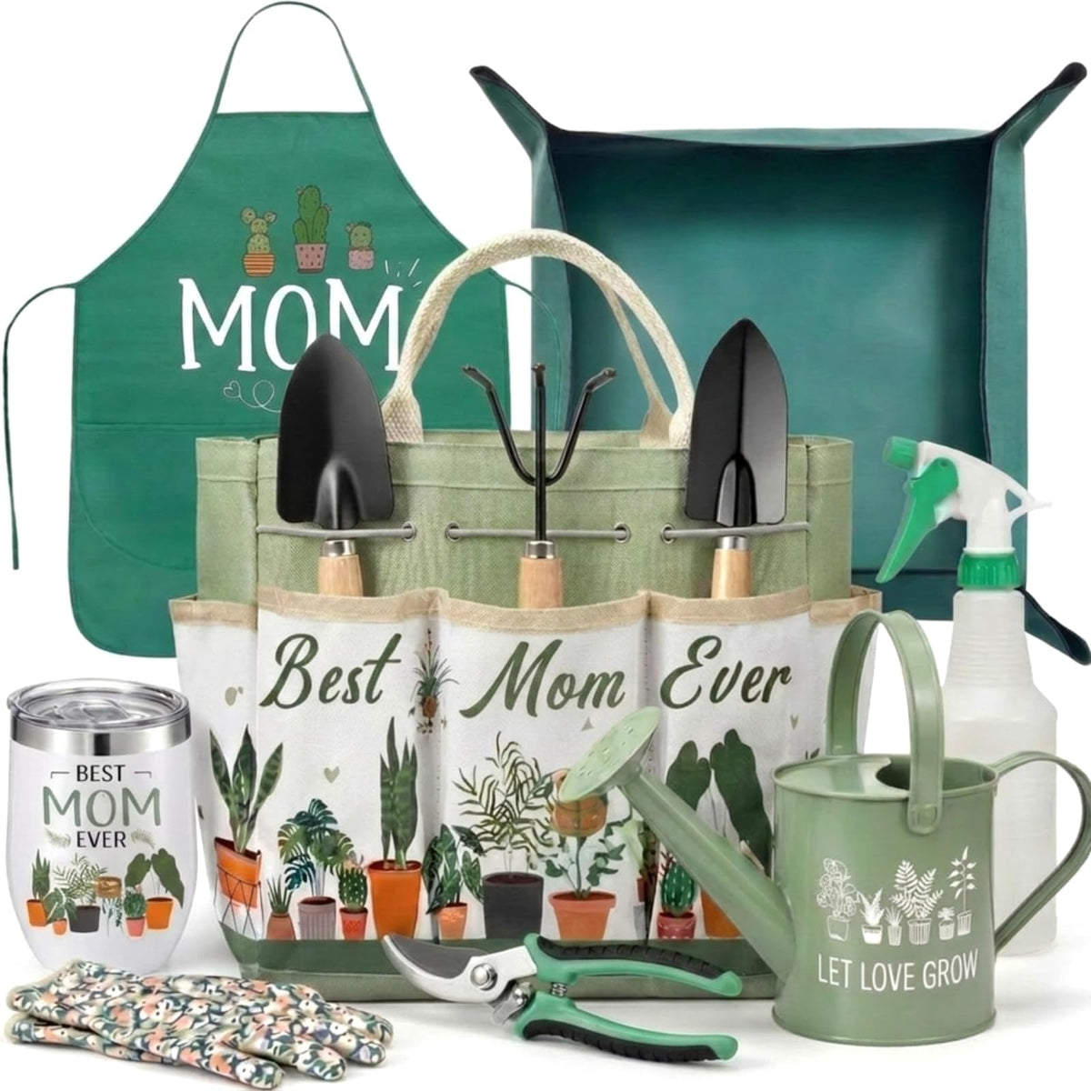Reginary tote and full tool set displayed neatly for easy access