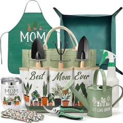 Reginary tote and full tool set displayed neatly for easy access
