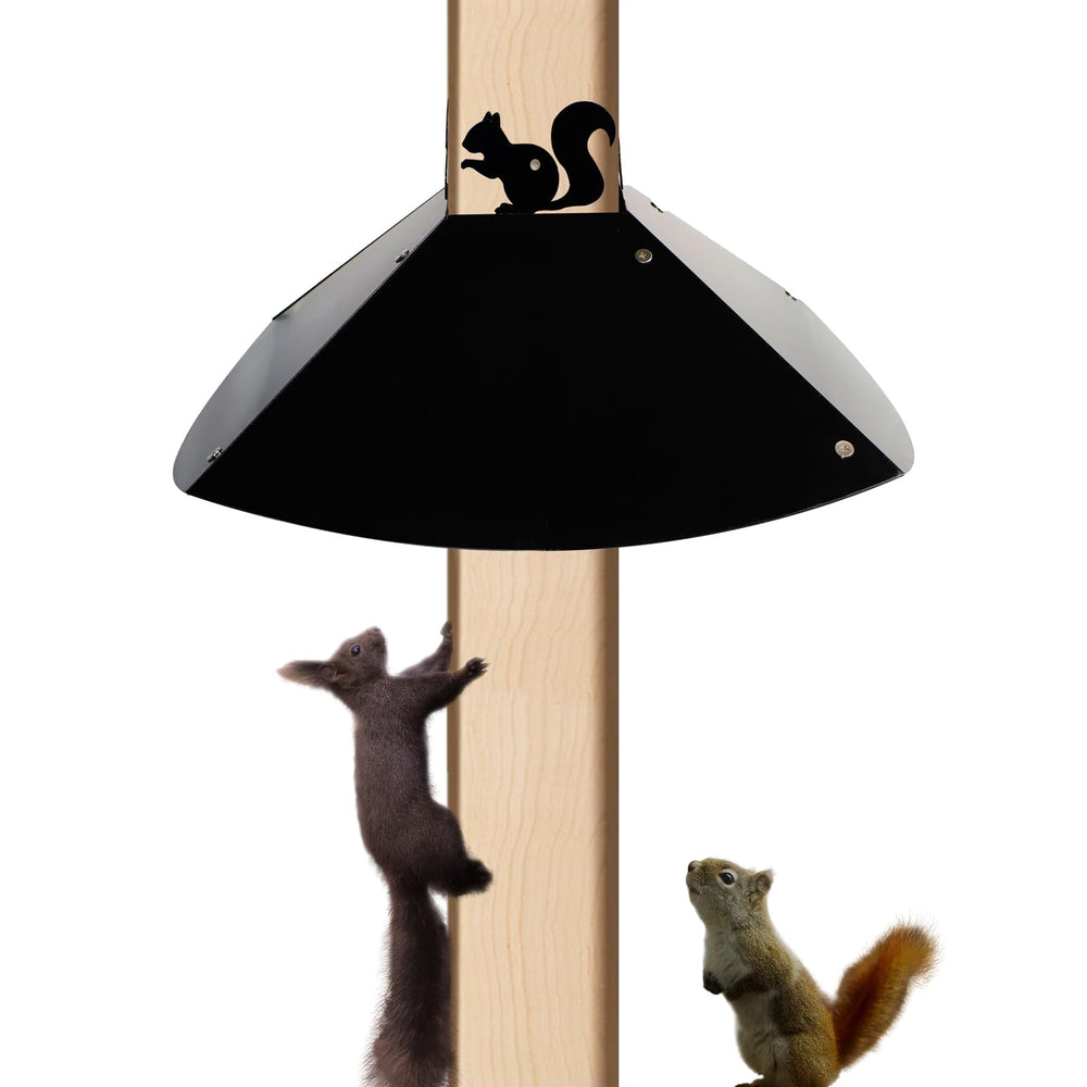 RELIY front view of metal squirrel baffle showing square 4x4 fit and protection