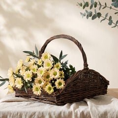 Remerry basket holding fresh fruit on kitchen counter, functional and attractive storage