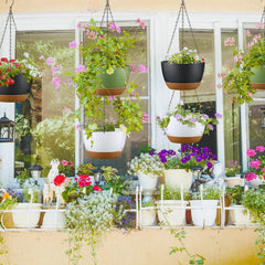 Remerry metal chain and hook detail, strong hanging support for heavier plants