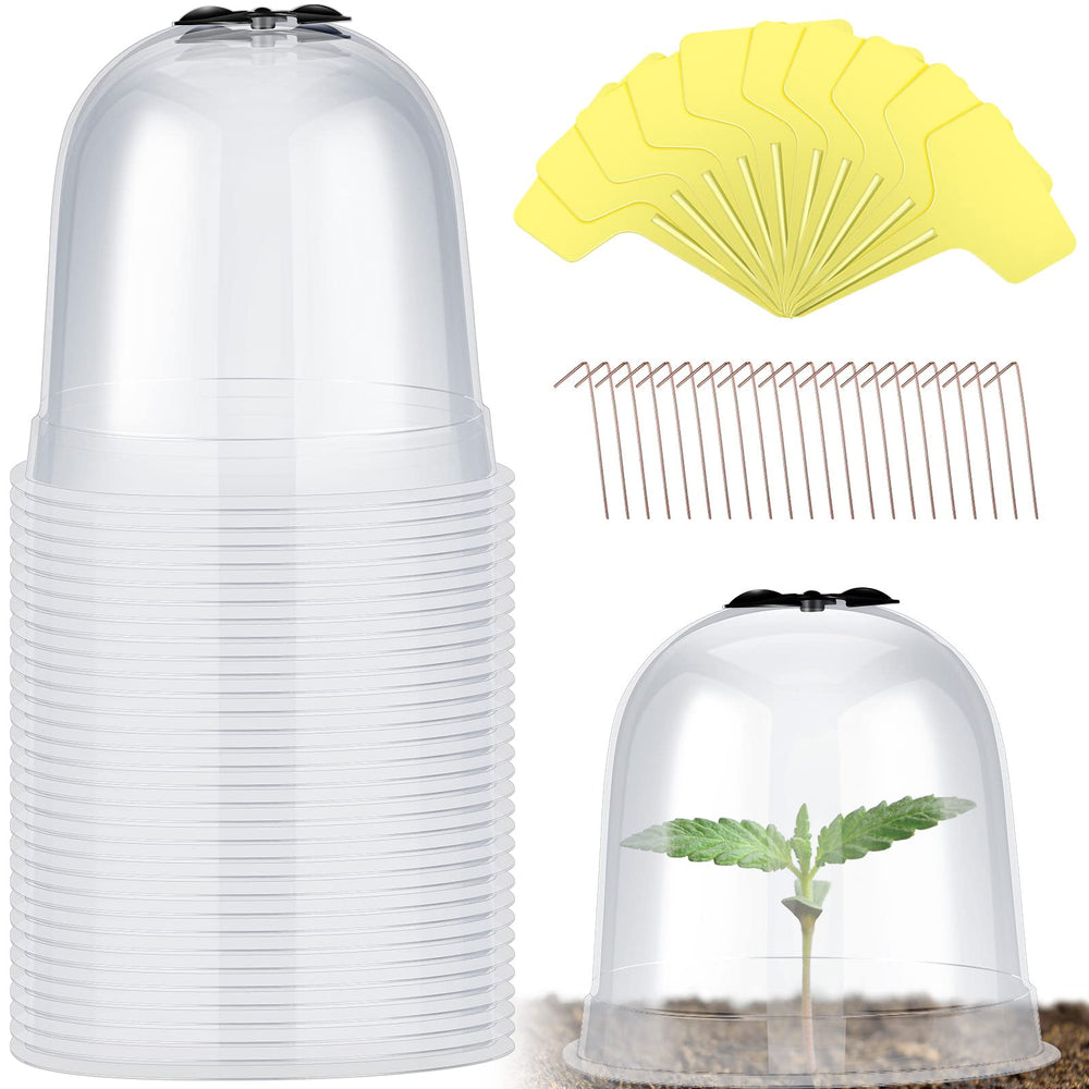 Remerry clear bell cloche front view showing transparent protection