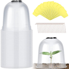Remerry clear bell cloche front view showing transparent protection