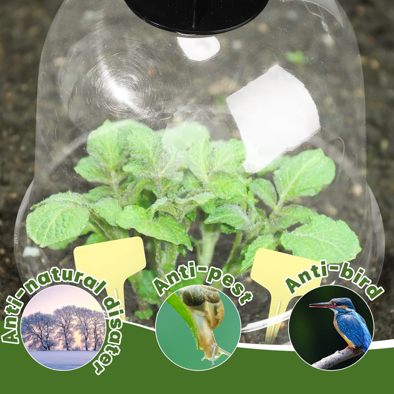 Remerry kit labels and metal pegs arranged for easy planting setup