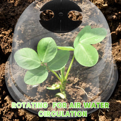 Remerry cloche held in hand showing scale for small plants