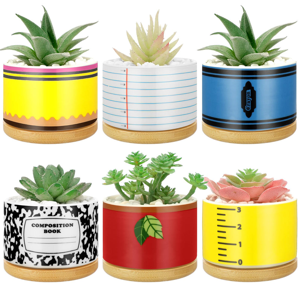 Remerry front packaging showing six mini ceramic pots for easy gifting and display