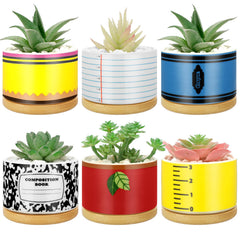 Remerry front packaging showing six mini ceramic pots for easy gifting and display