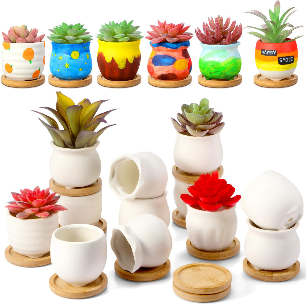 Remerry front view of 18 mini white pots showing clean set and organization