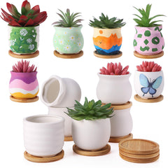 Remerry white ceramic pots front view showing full 12-piece set and bamboo trays for neat display