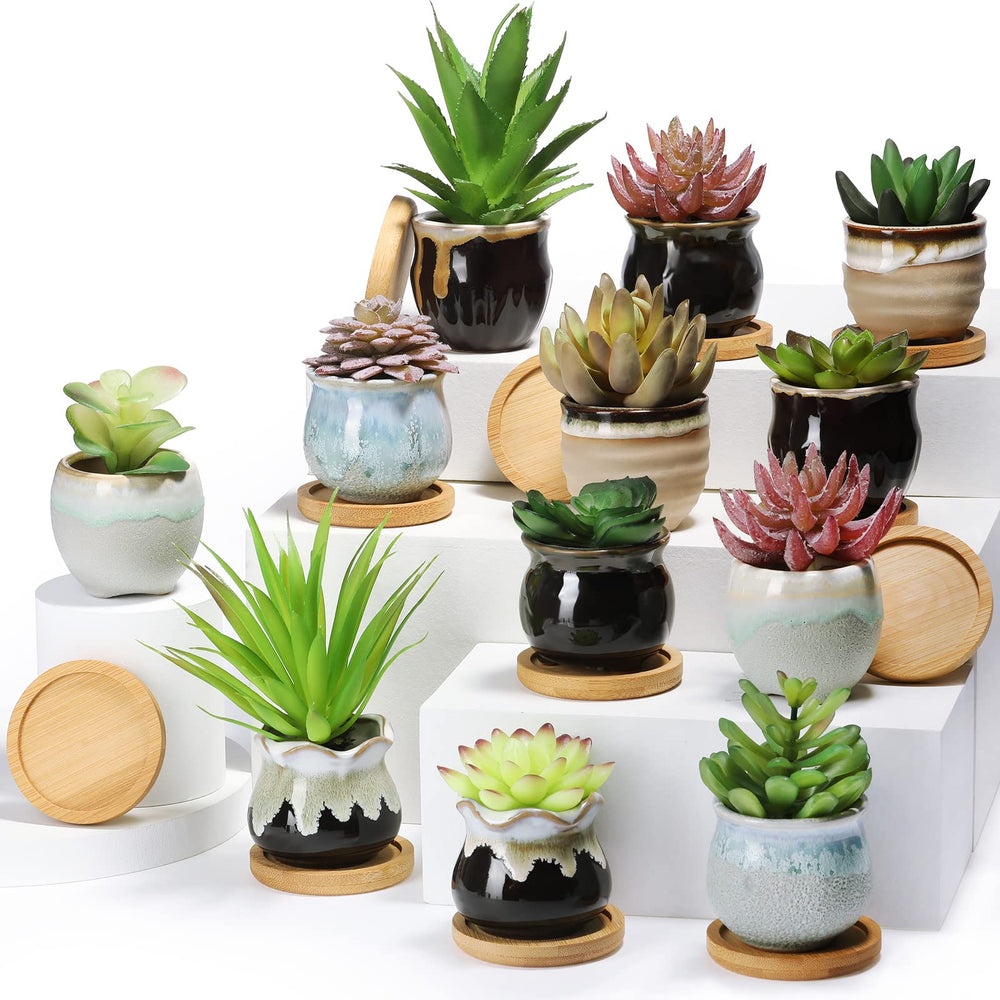 Remerry group front view showing assorted mini ceramic pots and bamboo saucers for coordinated displays