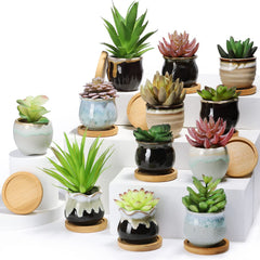 Remerry group front view showing assorted mini ceramic pots and bamboo saucers for coordinated displays