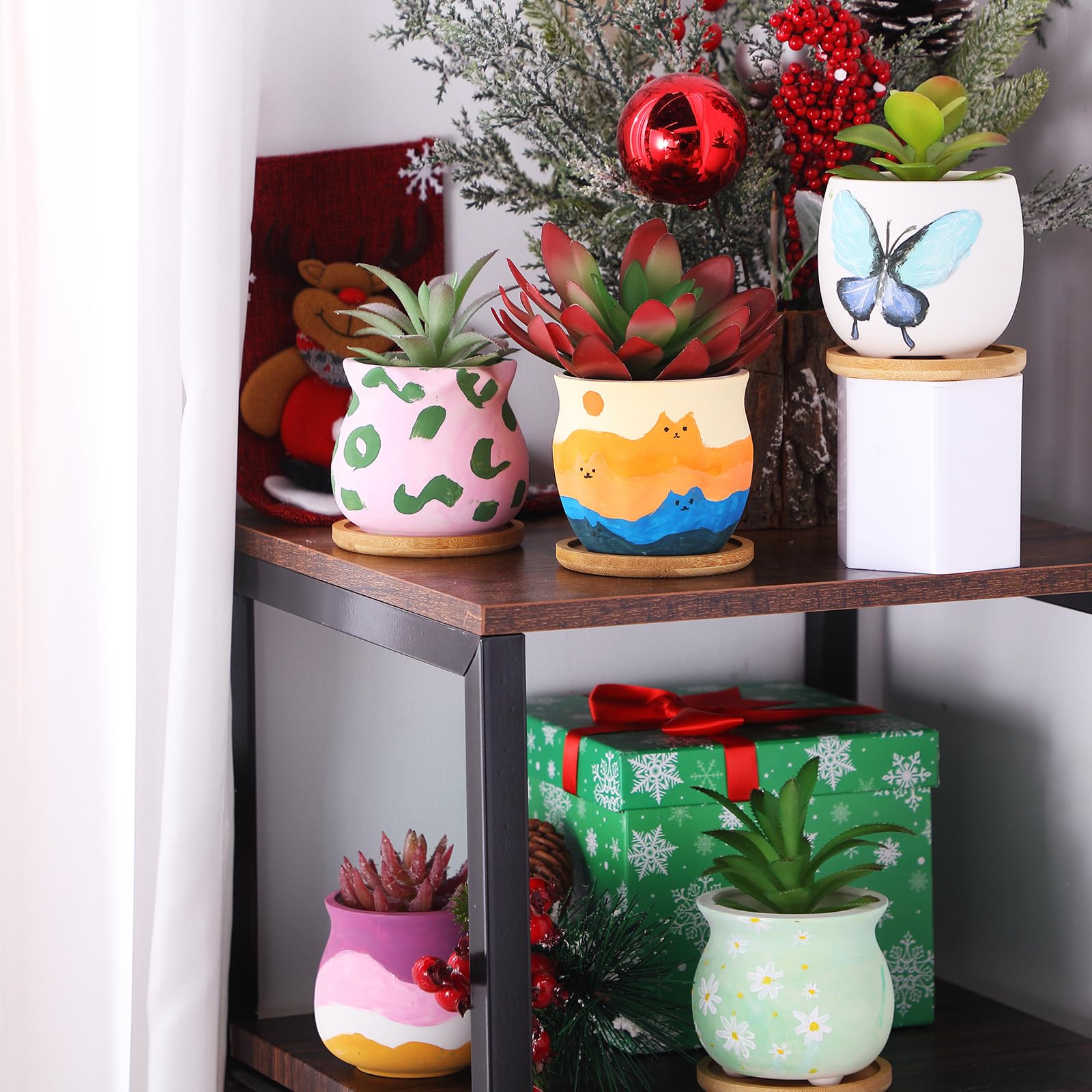 Remerry lifestyle on windowsill with succulents offering compact decorative greenery