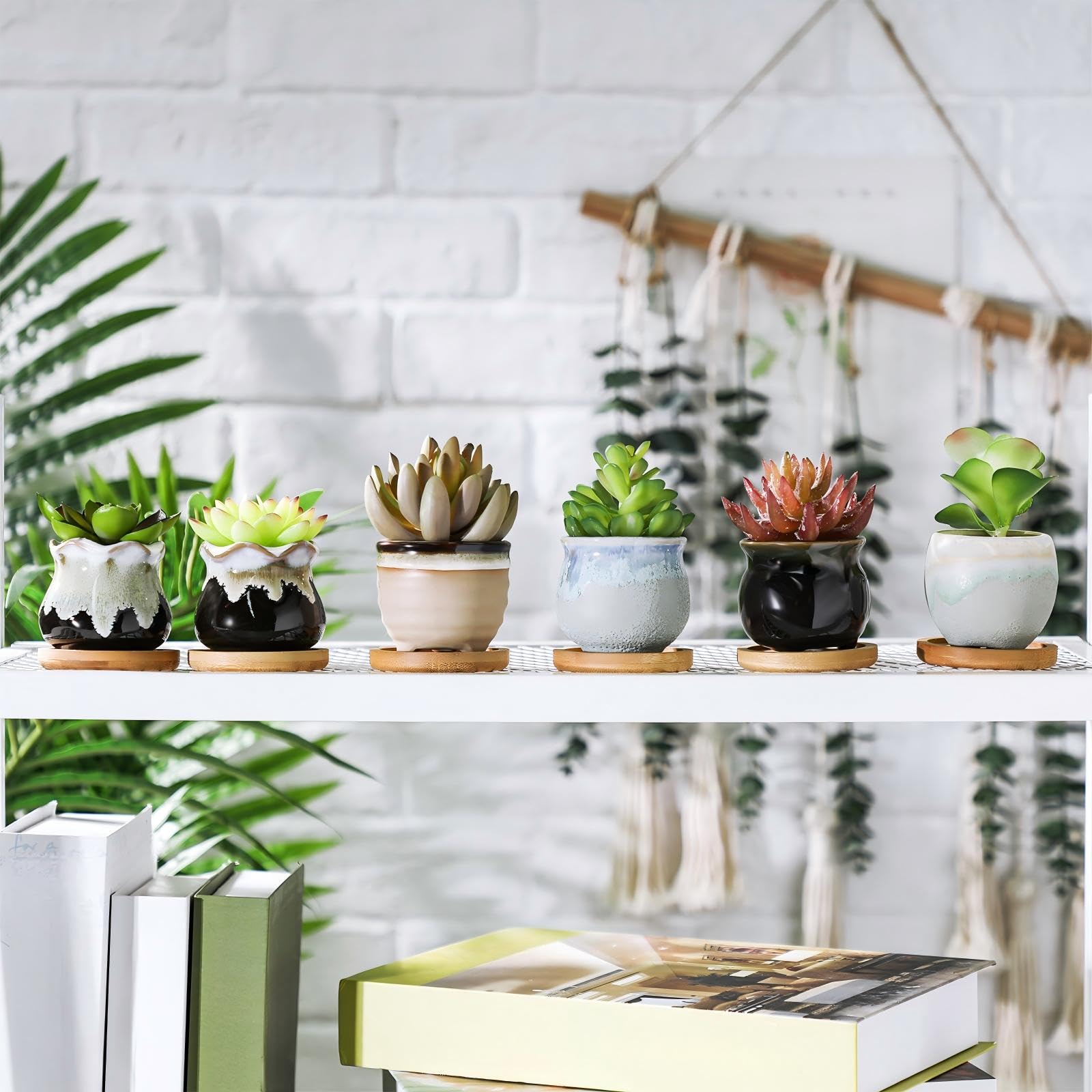 Remerry on desk styling with succulents to add greenery and brighten an office workspace