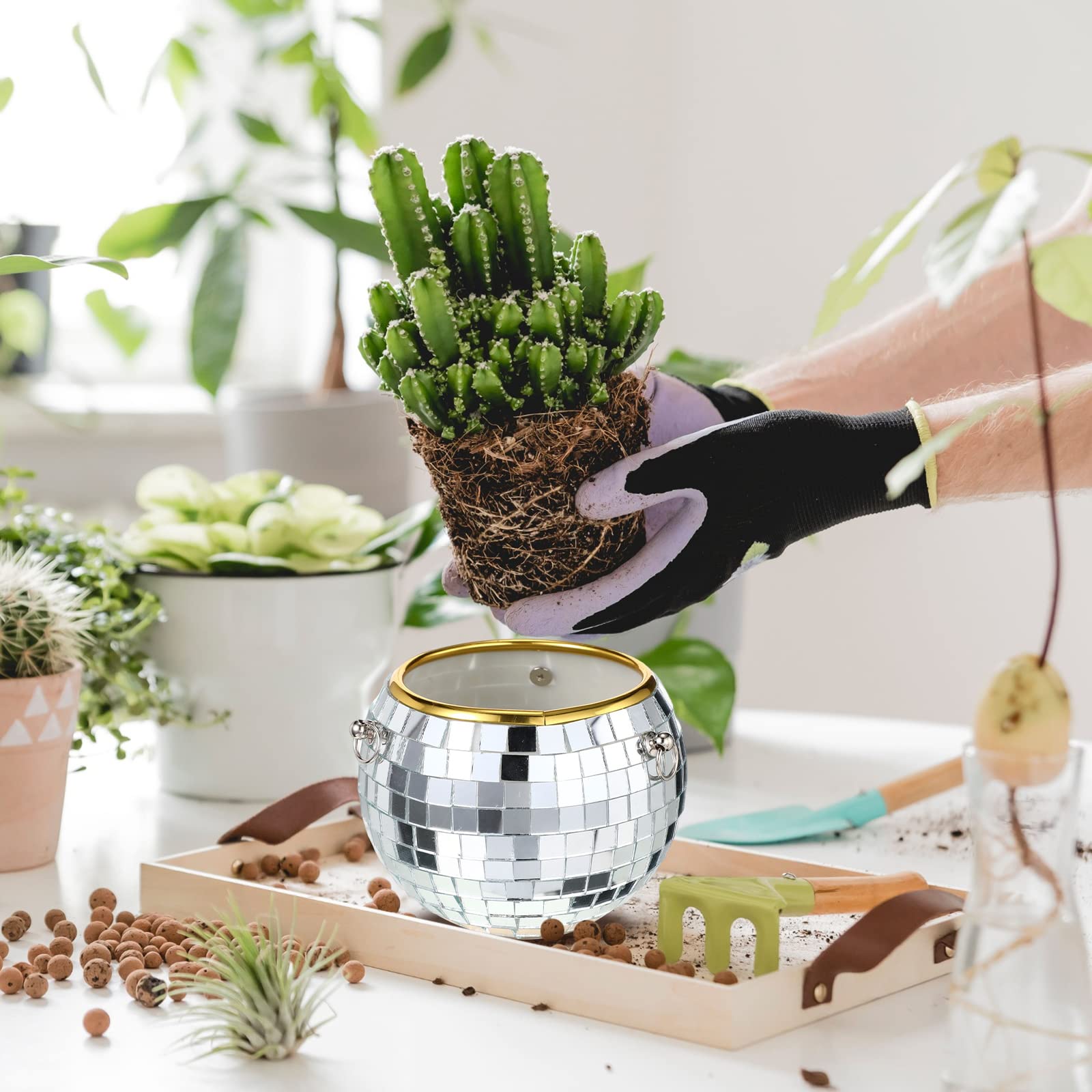Remerry hanging planter with succulent demonstrating use and enhanced light reflection benefit