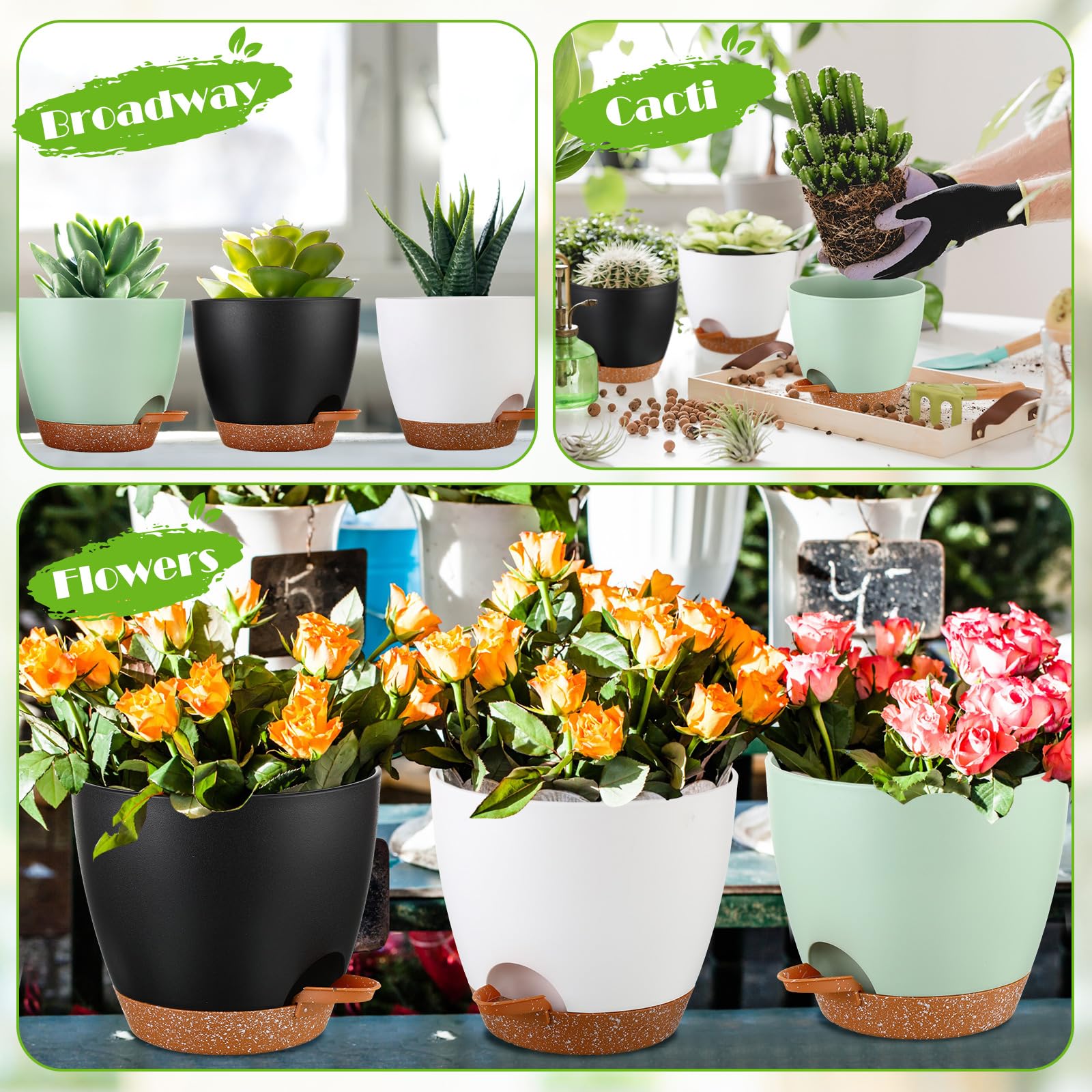 Remerry five-size lineup showing scale and flexible fit for many plants