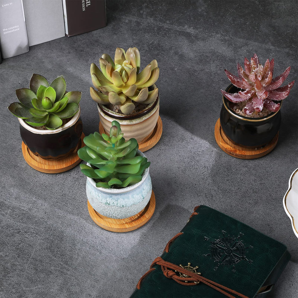 Remerry size scale comparison beside a ruler indicating compact 2.5-inch pots ideal for small plants