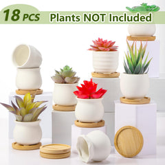 Remerry mini pots planted with succulents on a windowsill for bright display