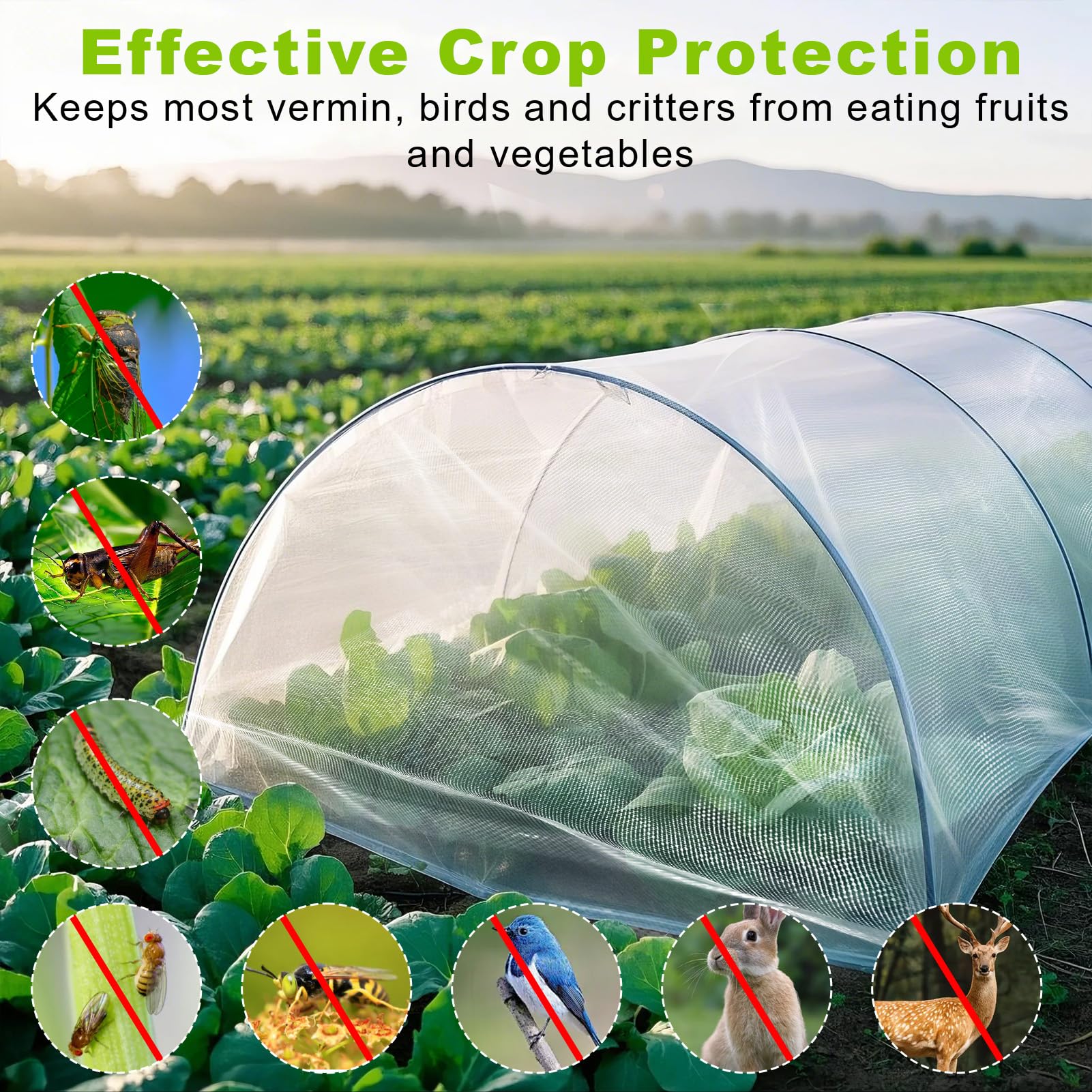 REMIAWY netting draped over garden hoops protecting seedlings effectively