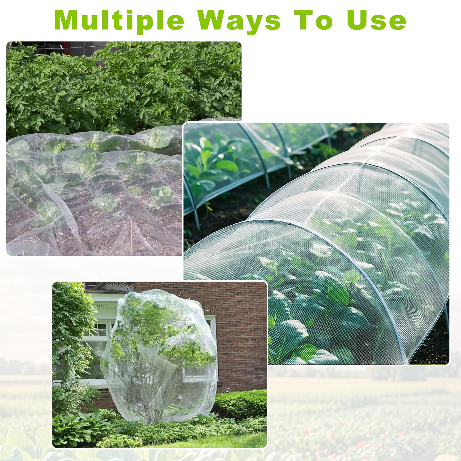 REMIAWY netting in a backyard garden protecting vegetables and fruit
