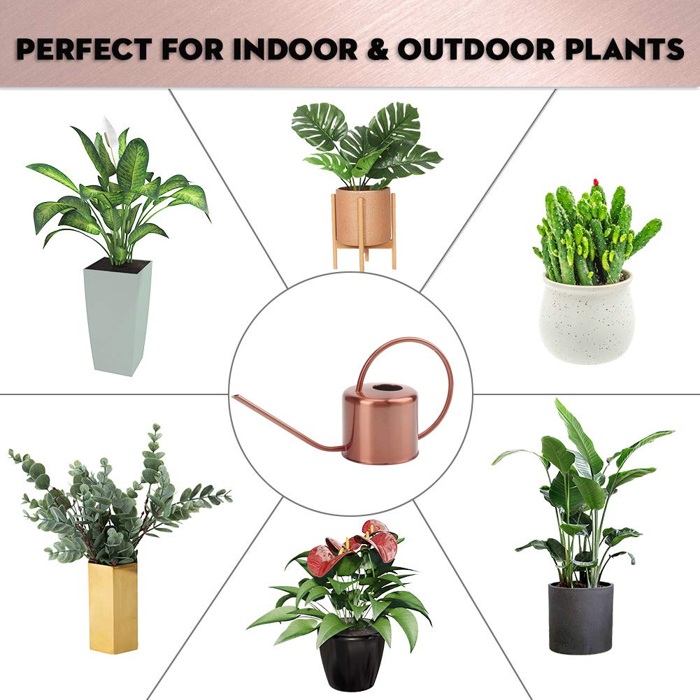 REMIAWY beside succulents showing compact size and space-saving benefit