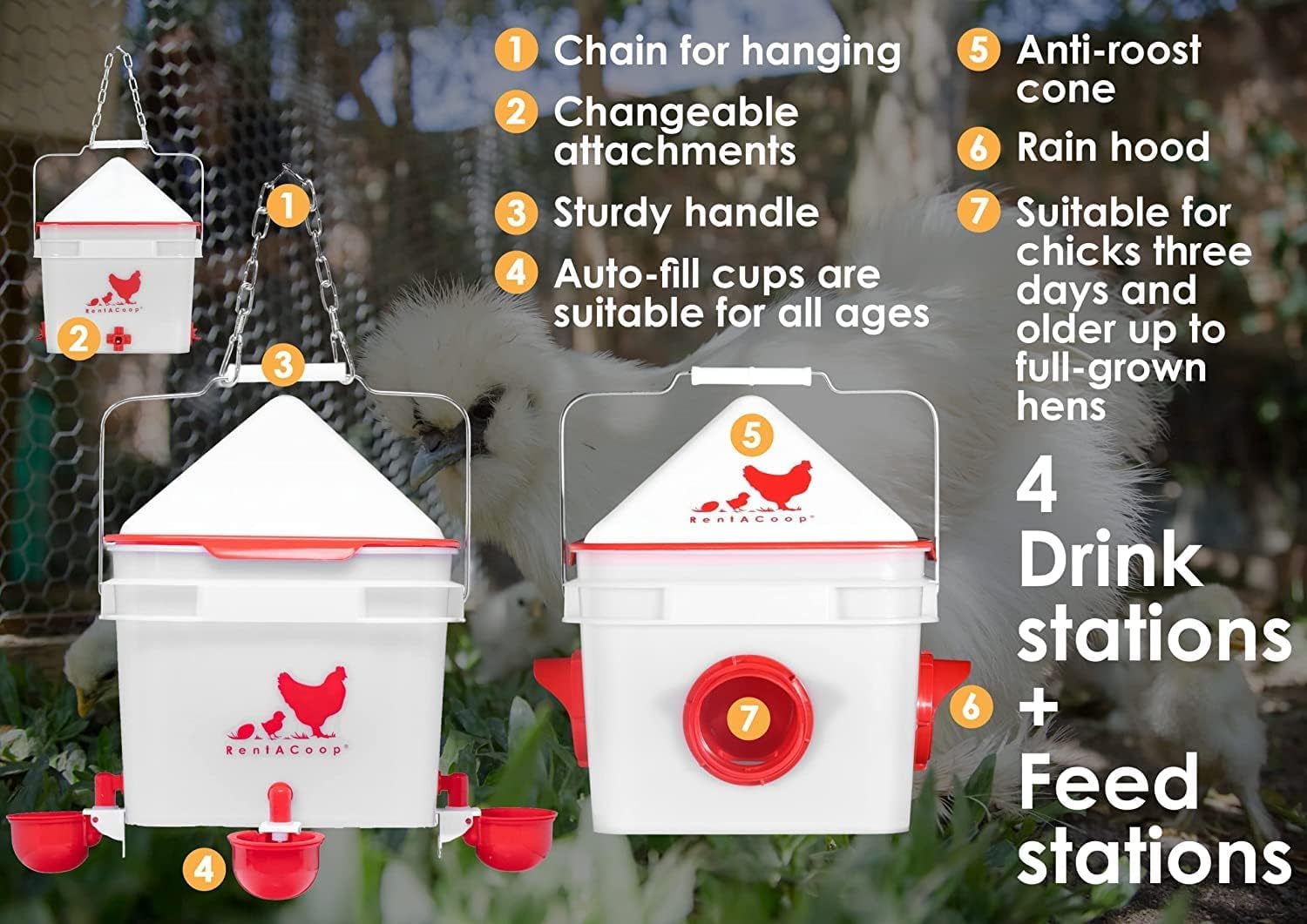 RentACoop adjustable stands supporting feeder and waterer for stability