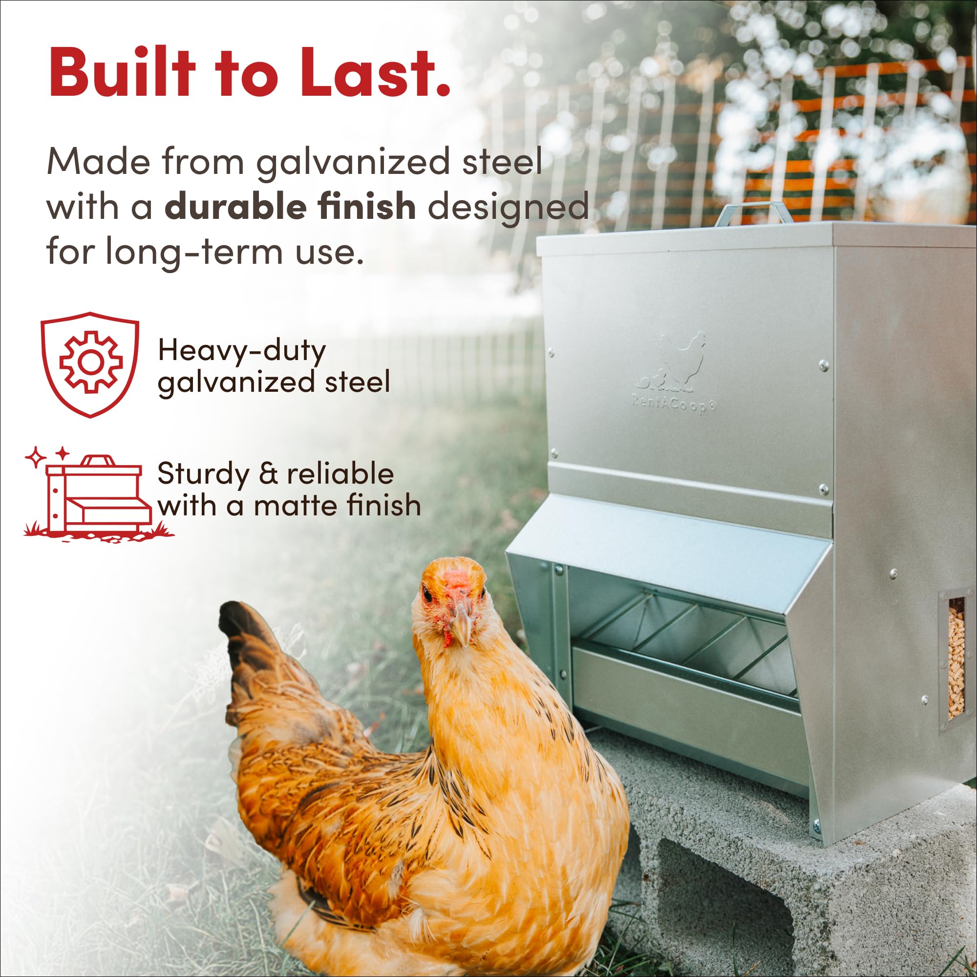 RentACoop feeder in use with ducks and chickens reducing waste
