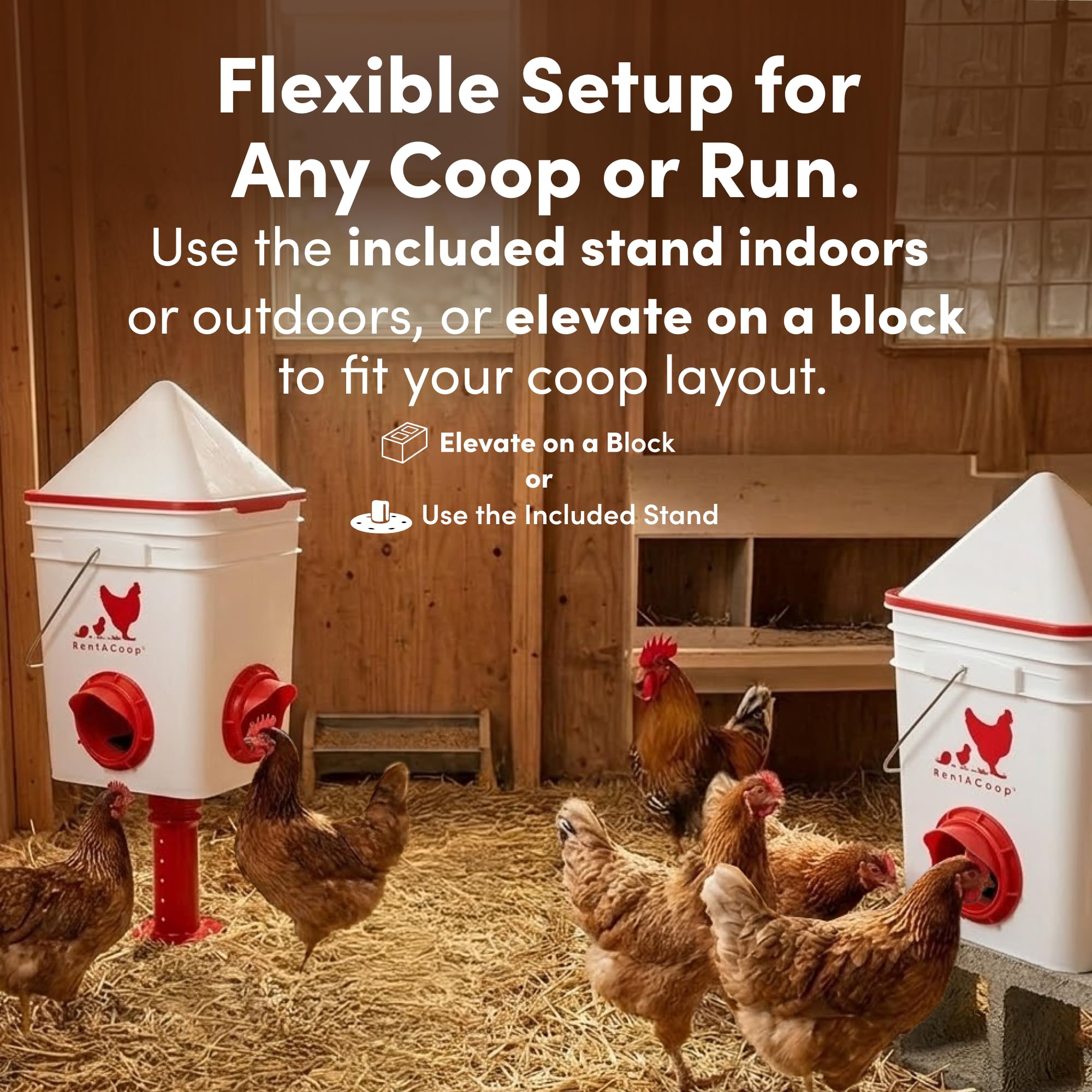 RentACoop feeder four large ports allowing multiple chickens to eat at once, reduces crowding