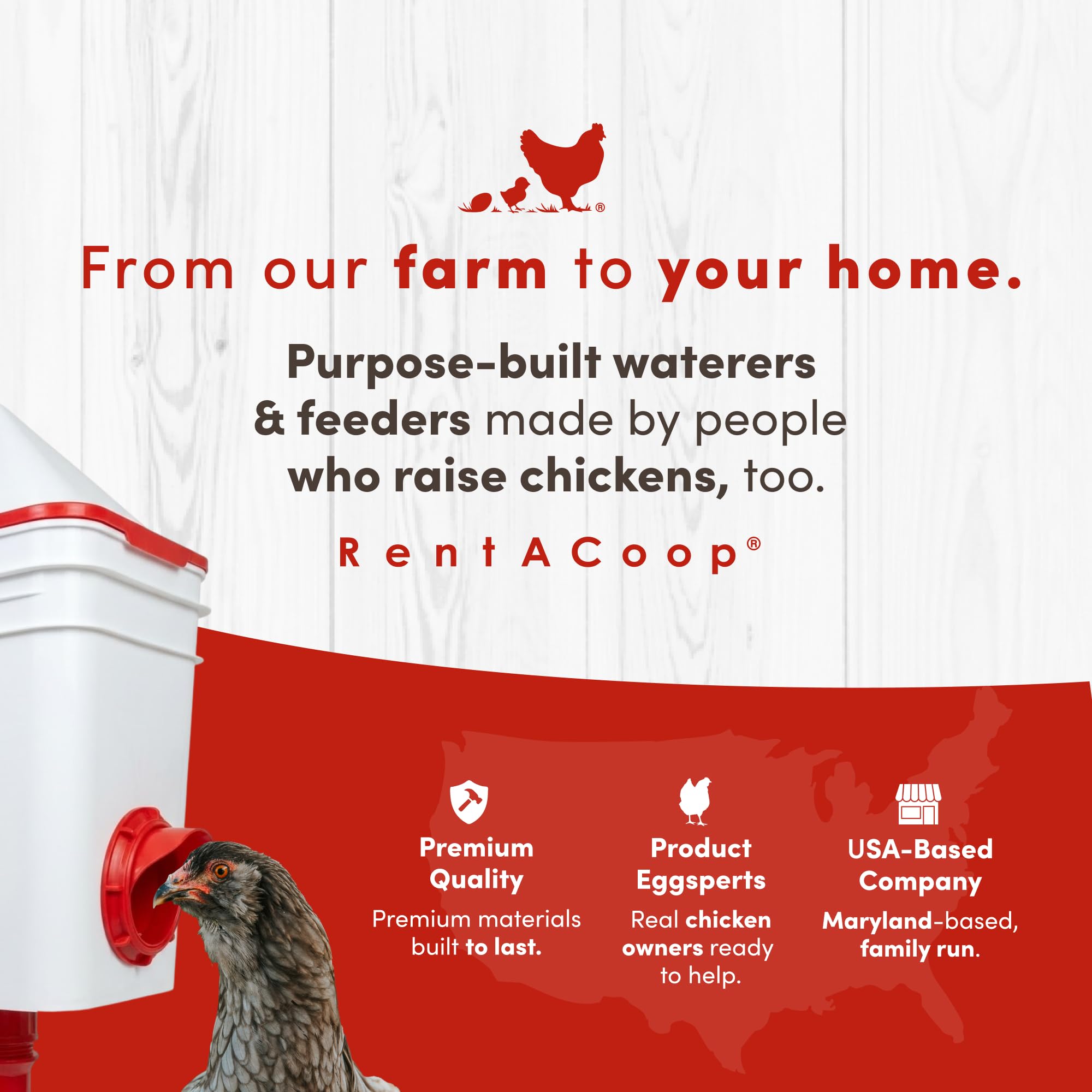 RentACoop feeder in a backyard coop scene demonstrating practical use and tidy feed containment