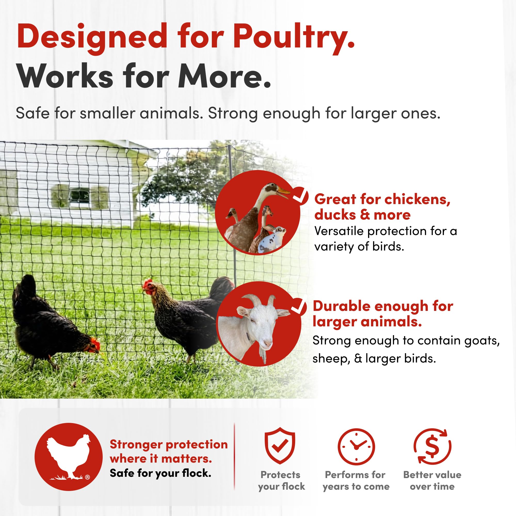 RentACoop fence installed in backyard containing chickens and protecting space effectively