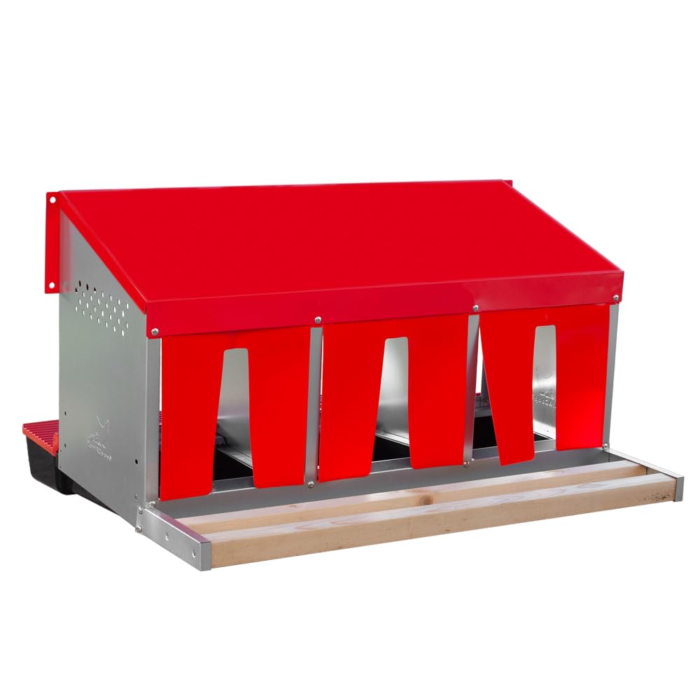 RentACoop front view of three-compartment nesting box showing organized laying areas and easy access