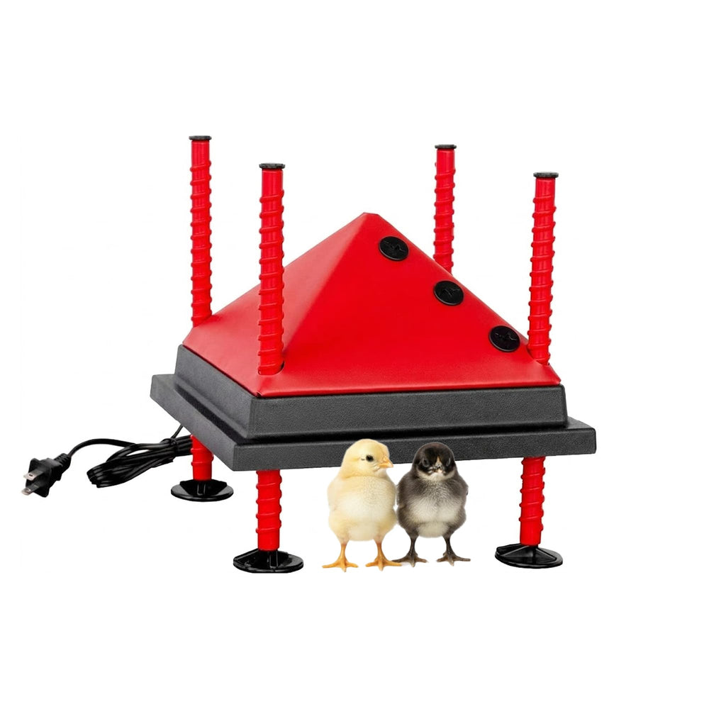 RentACoop heating plate front view showing compact design and stable base