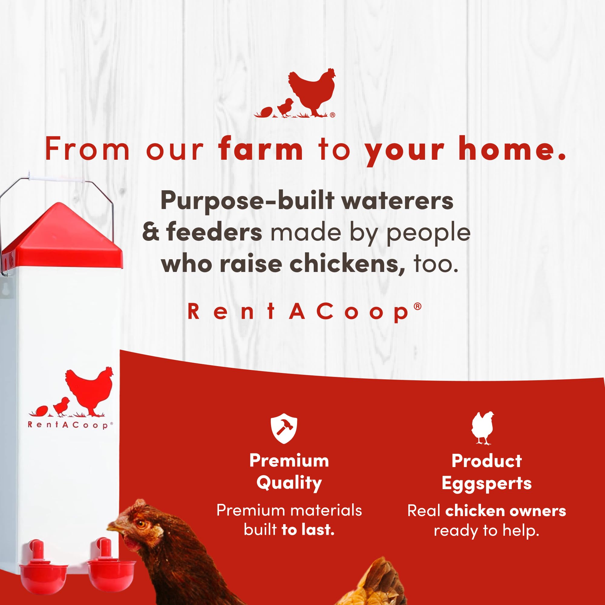 RentACoop lifestyle backyard coop setting demonstrating neat setup