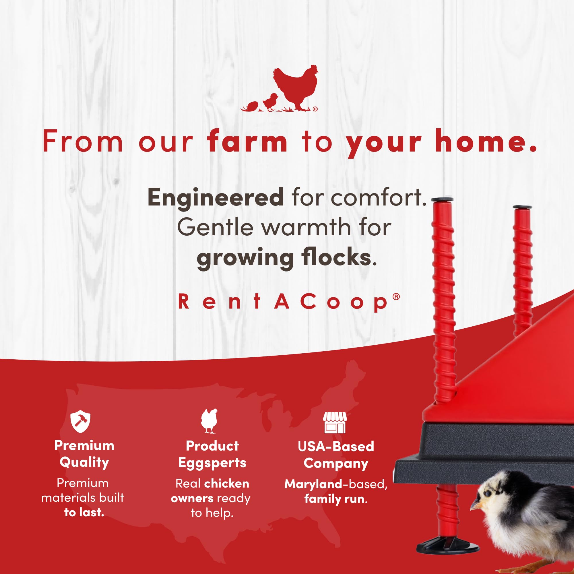 RentACoop heating plate in a coop lifestyle scene showing efficient, low-wattage heating benefit