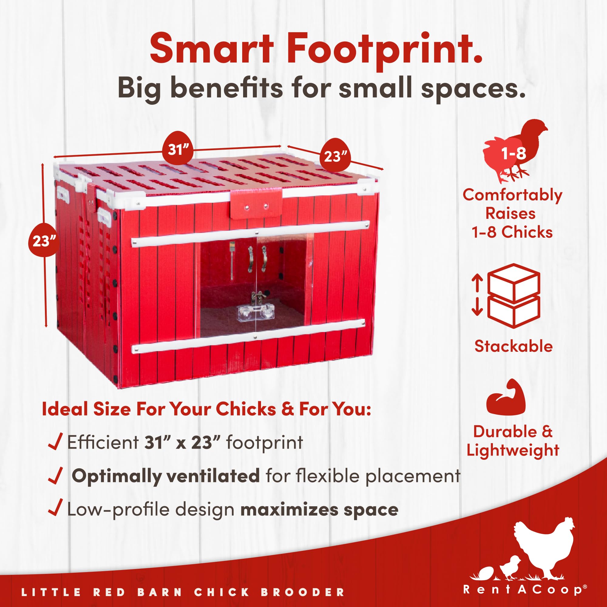 RentACoop brooder interior with chicks, promotes bonding and calm handling