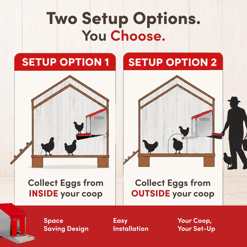 RentACoop perch and compartment interior showing comfortable hen entry and protected nests