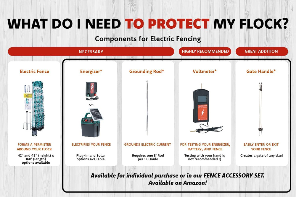 RentACoop energized fence at a coop showing in-use protection for chickens benefit